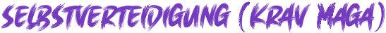 Selbstverteidigung (Krav Maga) - 47 x X - 16px.png