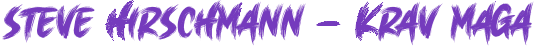 Steve Hirschmann - Krav Maga - 47 x X - 16px.png